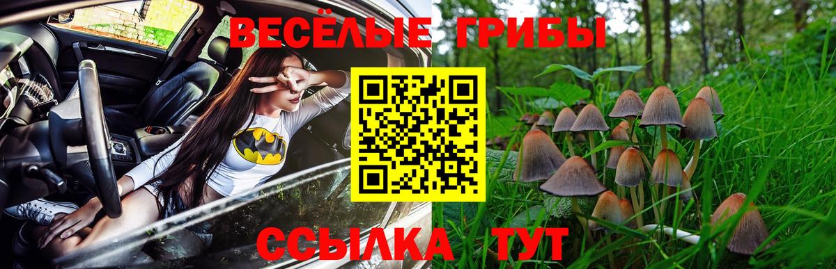 Галлюциногенные грибы Cubensis  Вход с VPN  Дзержинск  Псилоцибиновые грибы прущие грибы 